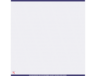 Medium Security Laser Rx Sheets
